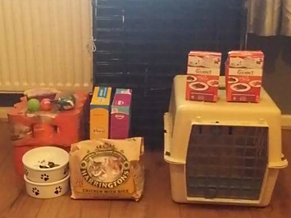 donations-cat-crate-cat-carrier