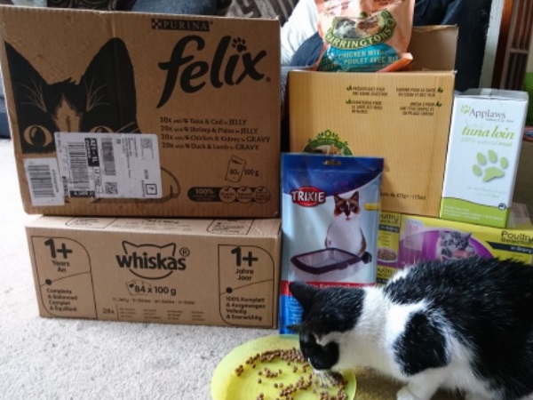 donations-cat-food