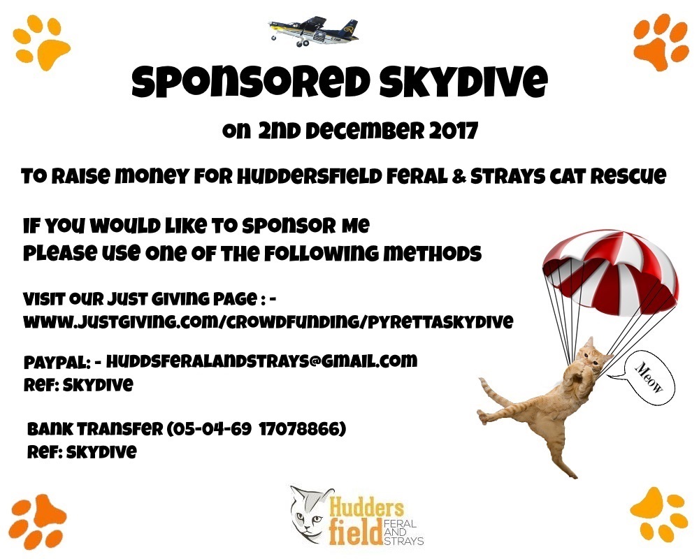 skydive-poster_1 skydive-poster_1