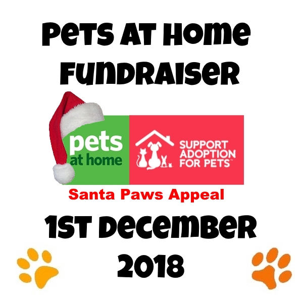 santa-paws-appeal-pets-at-home