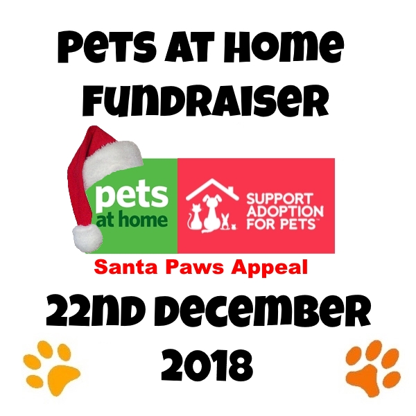 santa-paws-appeal-pets-at-home