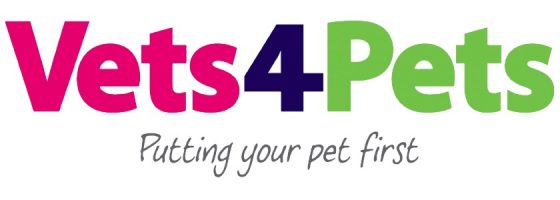 vets-4-pets