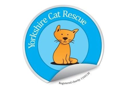 yorkshire-cat-rescue